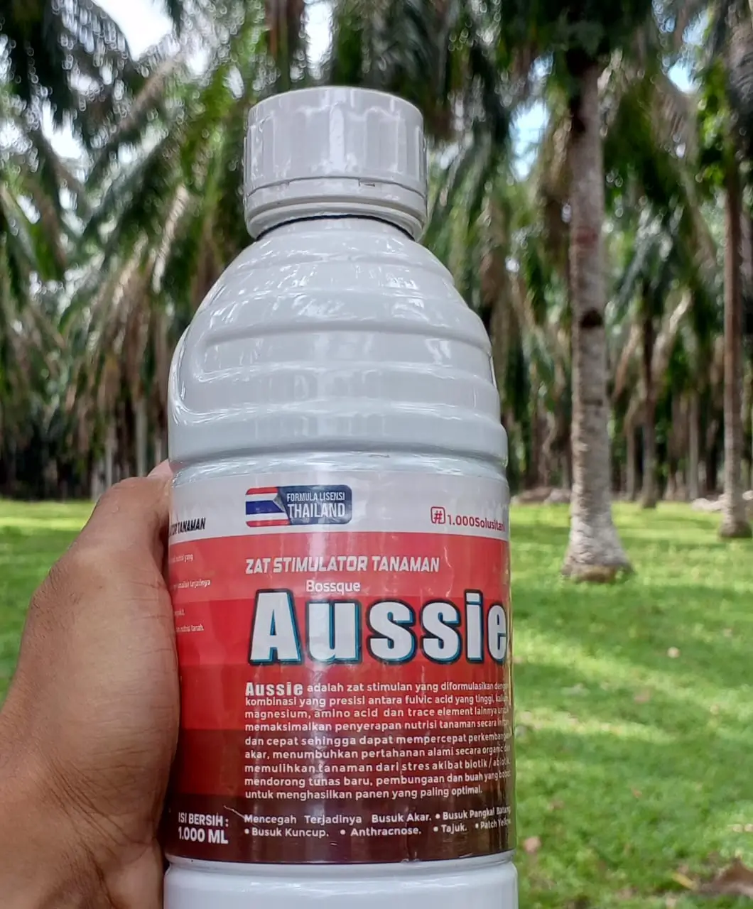 Distributor Aussie Kaltim